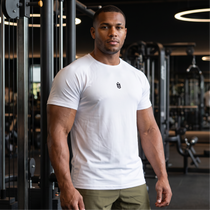 Camiseta Raglan Dry Fit Impact