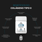 Colágeno Tipo 2 30 Cáps - Íntera Daily 6