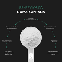 Goma Xantana 100% Puro - 500g