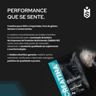 Creatina Monohidratada 100% Pura Sachês 5g - 30Un 5