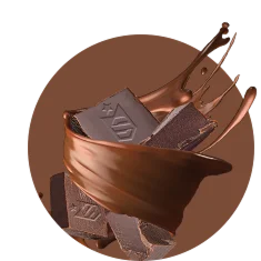 CHOCOLATE BELGA